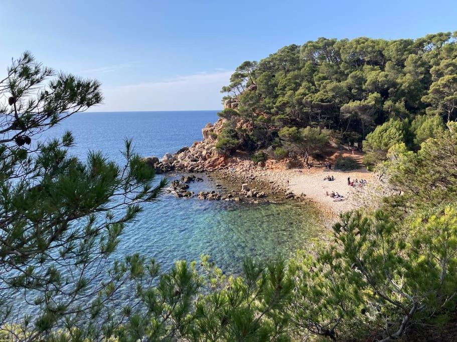 Bandol Roc Beach Vue Mer Grand T3 Face A La Plage Avec Parking Экстерьер фото